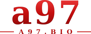 a97 logo
